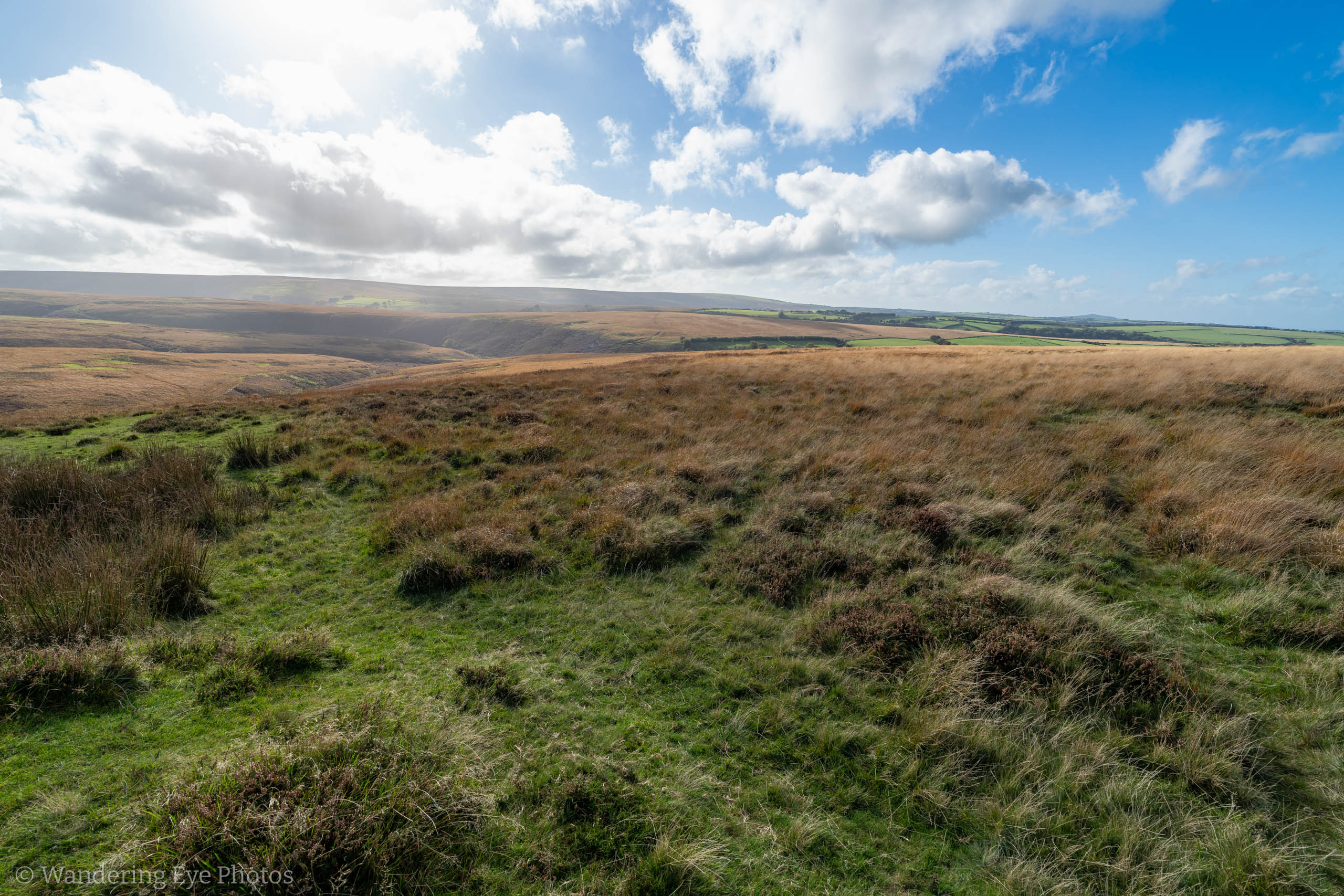 10.17 15.06.17   DSC05289